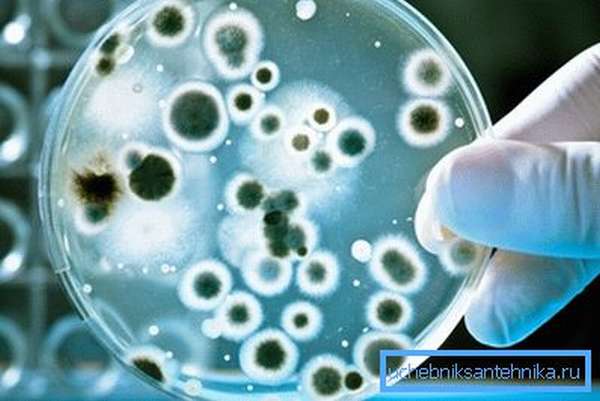 Бактериологические исследования может провести только СЭС