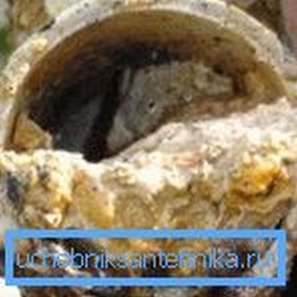 На фото показано засорение внутреннего просвета канализационной трубы.
