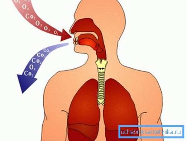 Схема дыхания человека